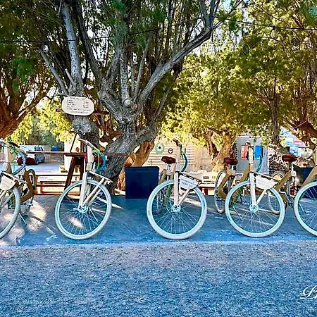 Santa Barbara